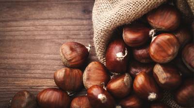 Castaña: Sácale provecho este otoño