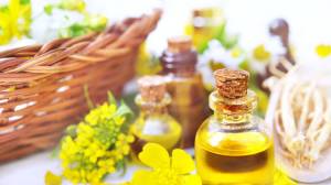 Aceites vegetales: Ayudan a tu piel a regenerarse