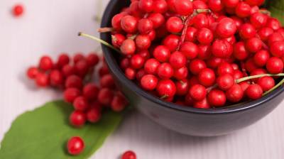 Bayas de Schizandra: Para llenarte de energía