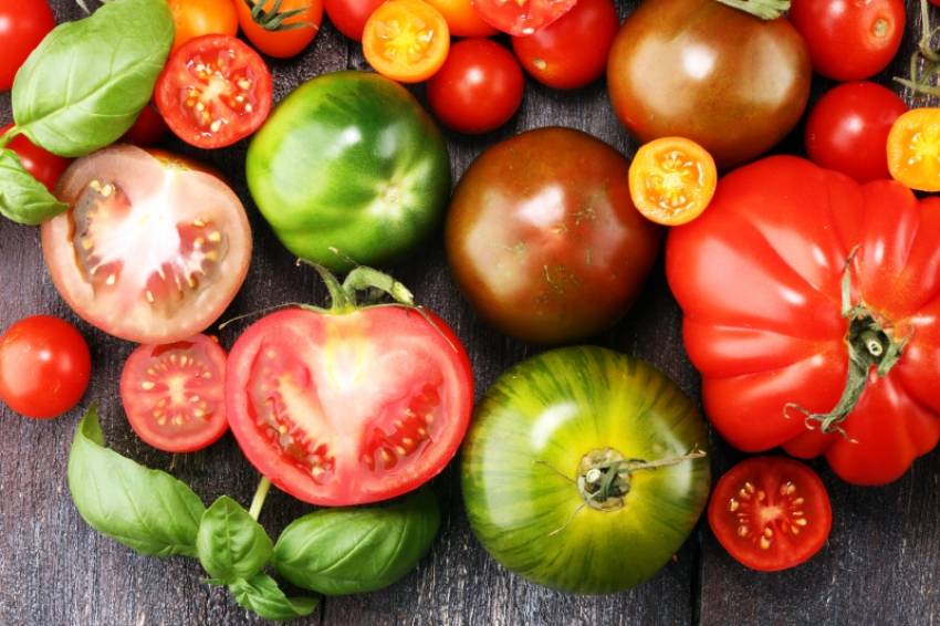 Alimento top: Virtudes del tomate