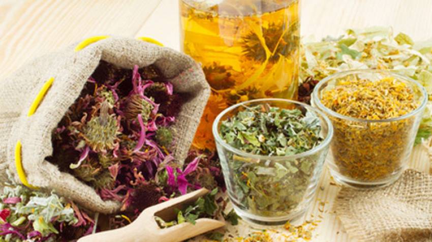 ▷ Té Infusiones: Tisanas Digestivas, Adelgazantes y Más - ITALCAFE